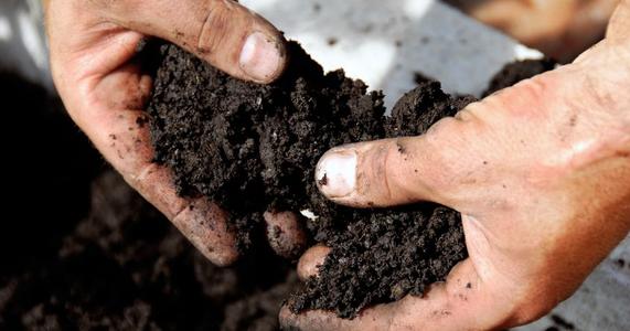 Six Soil Problems Solved by Adding Compost/Humus