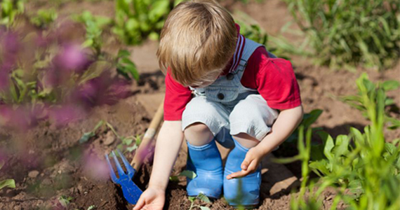 Ideas for Starting a Children's Garden